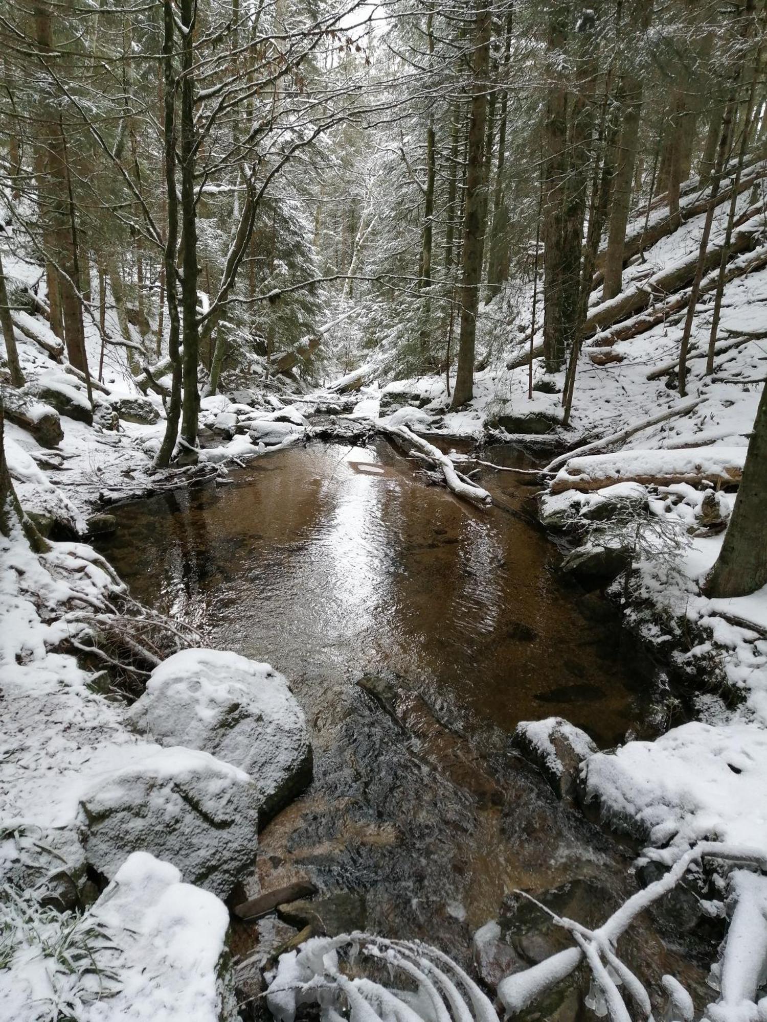 Blackforest Perla Höchenschwand Exteriér fotografie